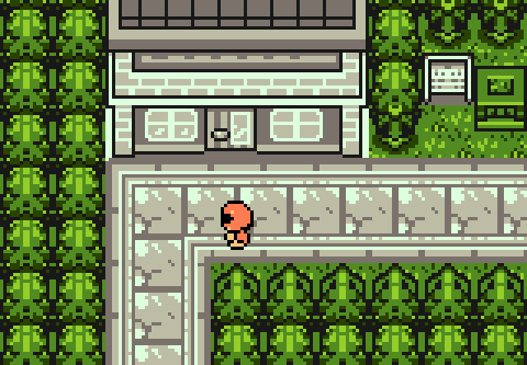 A Pokemon Prism Gym Extra Badges Guide